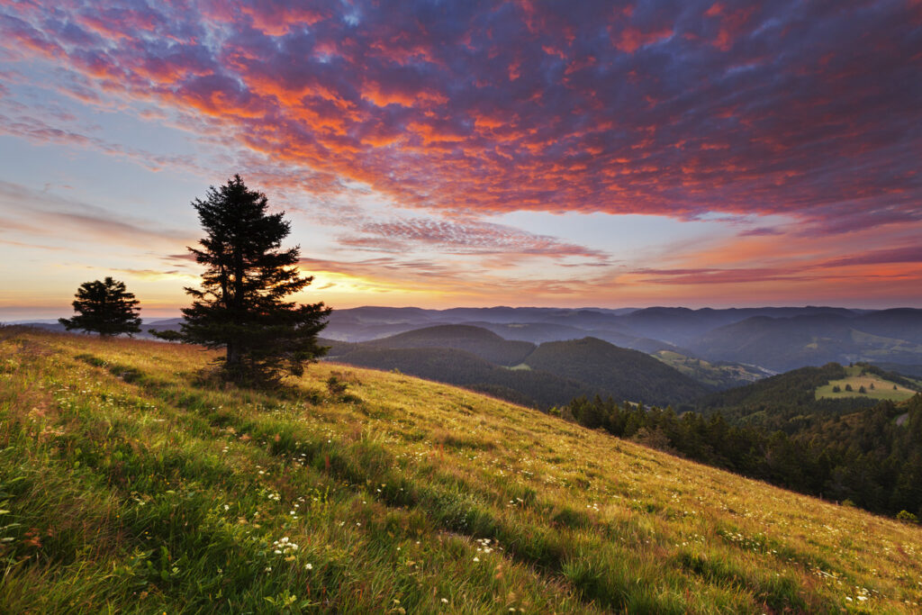 Die Mittelgebirge Heinz Wohner